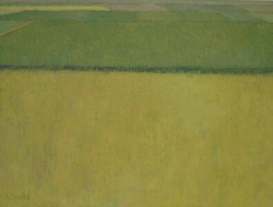 Yellow Rice Field 2005, Oil on canvas, 40x30cm